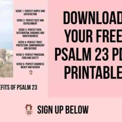 Psalm 136 bible study questions