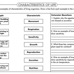 Characteristics of living things worksheet answer key